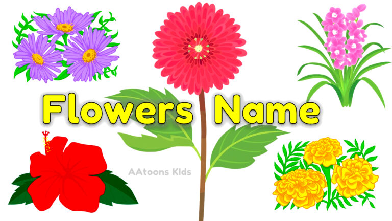 Flowers name in English with Image | Flowers name for KIds