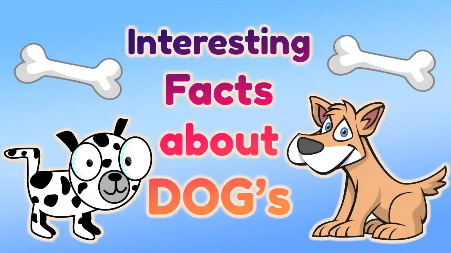 10 Fascinating Fun Facts About Dogs – Doggy Style