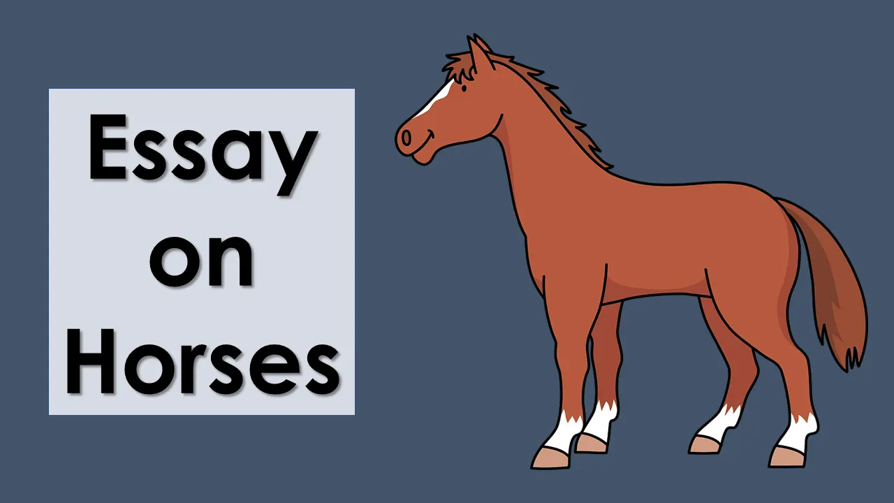 horse essay for class 8